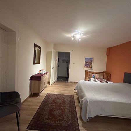 Bel Appartement en RDC proche Straatsburg Buitenkant foto